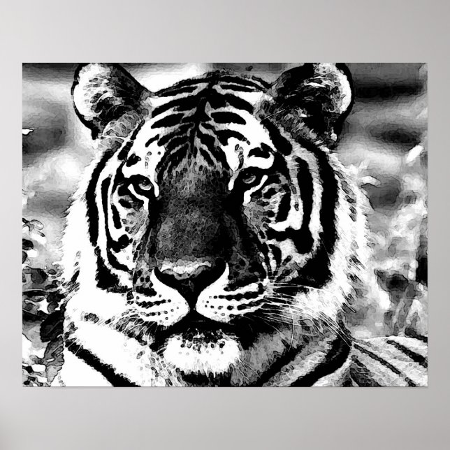 Poster de tigres de BW Imprimir Posters de tigres  (Frente)