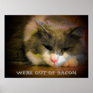 Póster De tocino gatito tan deprimido