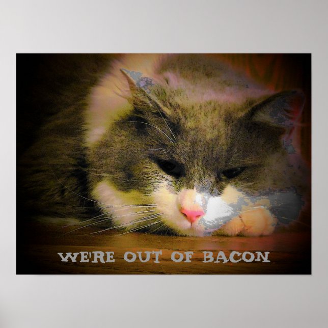 Póster De tocino gatito tan deprimido (Frente)