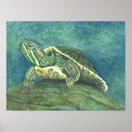 Póster de tortuga de oreja roja