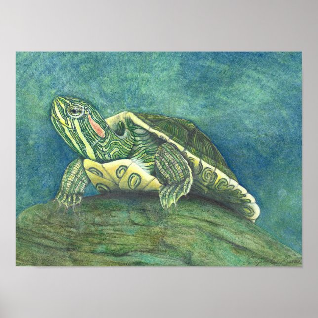 Póster de tortuga de oreja roja (Frente)