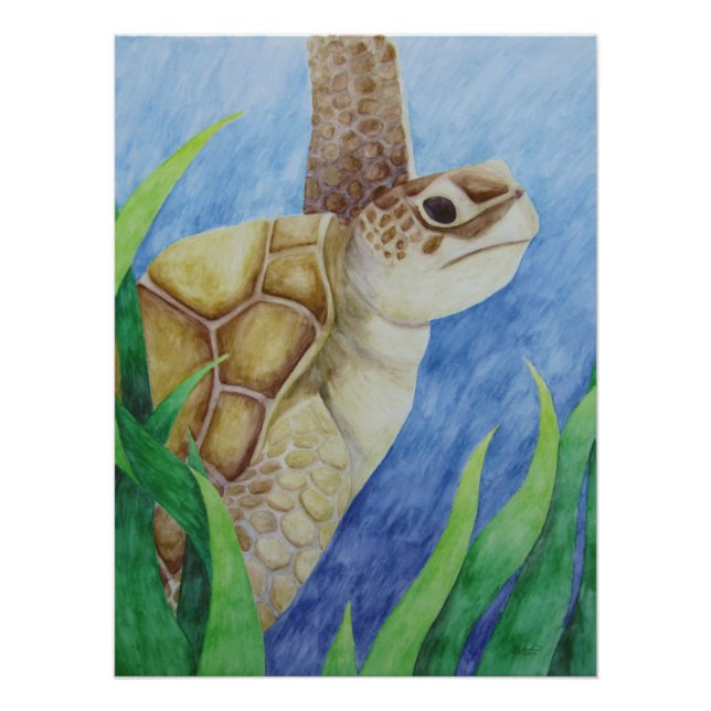 Poster de tortuga marina (Anverso)