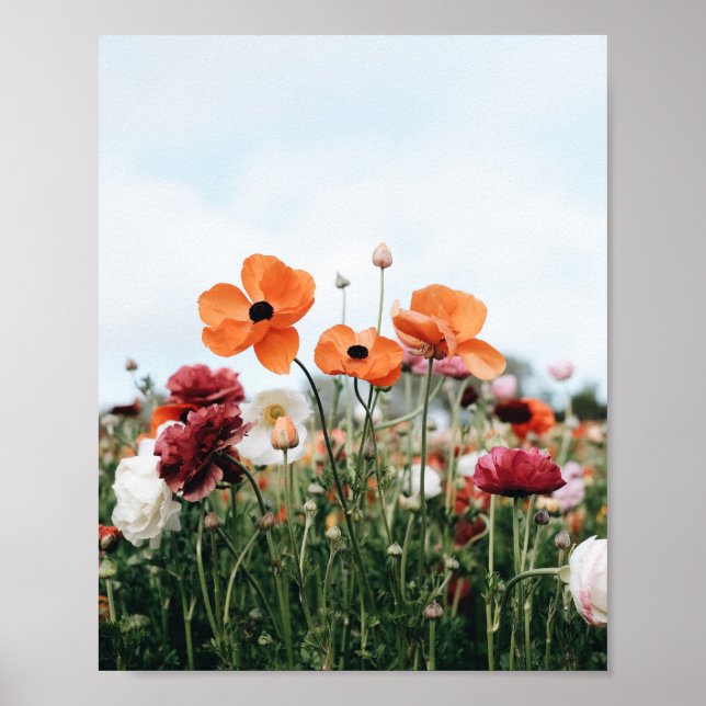Póster de trío de flores naranjas (Frente)