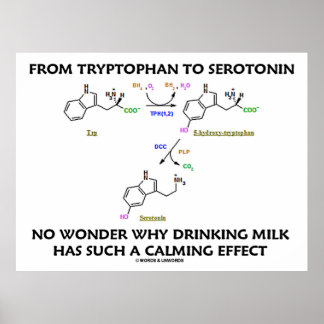 Póster De Tryptophan A Serotonina (Humor Químico)