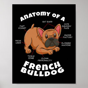 Póster De un bulldog francés