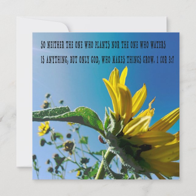 Poster de verso de la Biblia, las flores crecen co (Anverso)