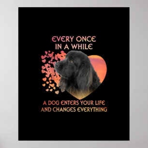 Póster De Vez En Cuando Un Perro Entra En Tu Vida