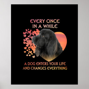 Póster De Vez En Cuando Un Perro Entra En Tu Vida