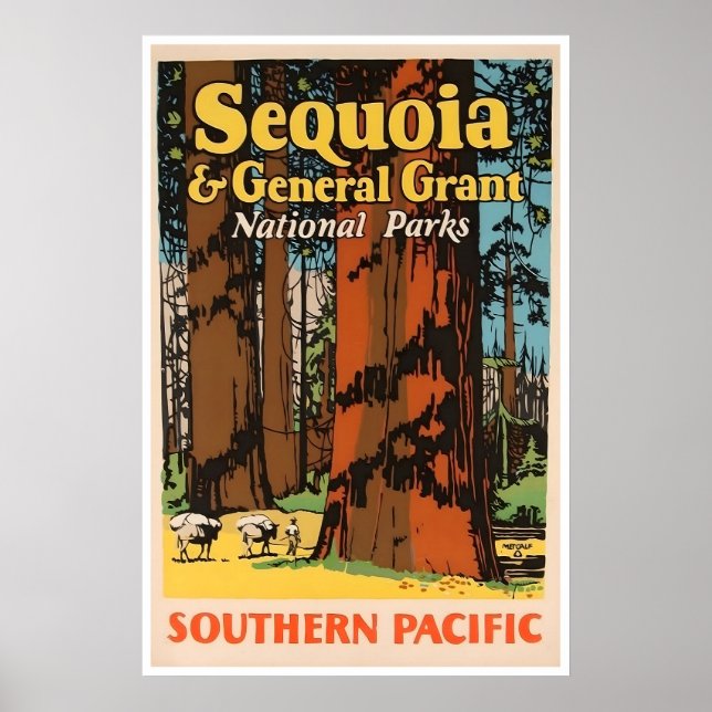 Póster de viaje al Parque Nacional Sequoia Califor (Frente)
