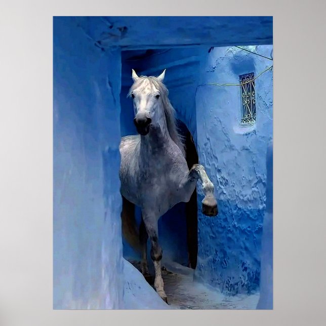 Póster de viaje de caballo blanco (Frente)