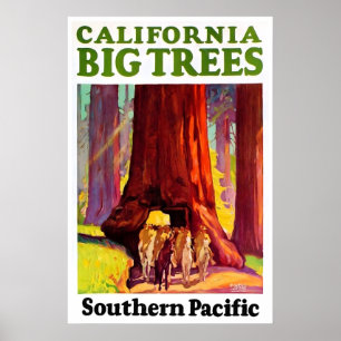 Póster de viaje de California Redwoods Arte del Su