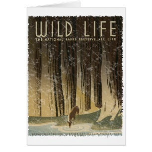 Poster de Viajes Vintage - Wildlife, alrededor de 