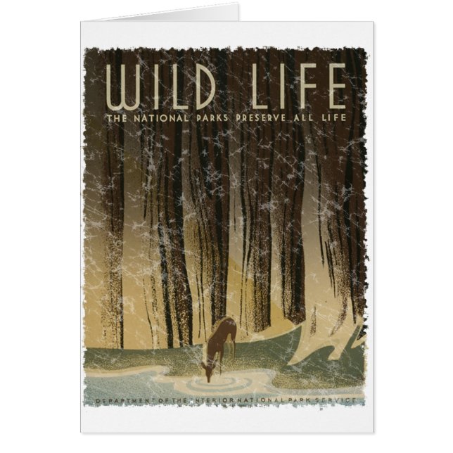 Poster de Viajes Vintage - Wildlife, alrededor de  (Frente)
