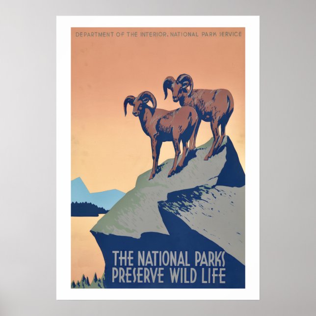 Póster de Vida Silvestre de Parques Nacionales (Frente)