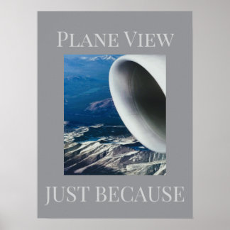Póster de vista de avión