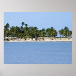 Póster de vista tropical
