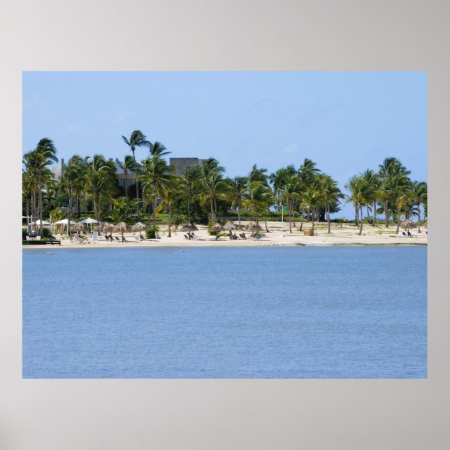 Póster de vista tropical (Frente)