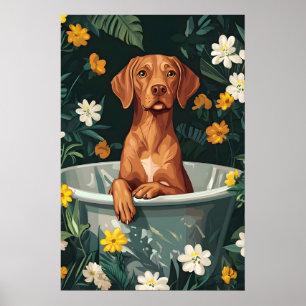 Póster de Vizsla en bañera, Póster divertido de pe