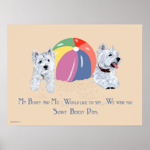 Póster de Westies con una pelota de playa