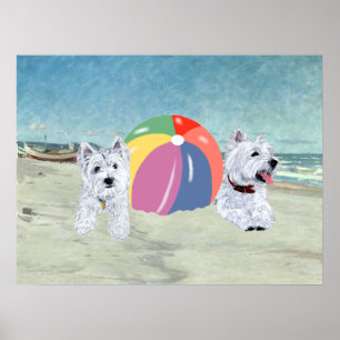 Póster de Westies con una pelota de playa