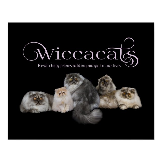 Poster de WiccaCats (Anverso)