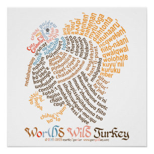 Poster de World Word Wild Turkey