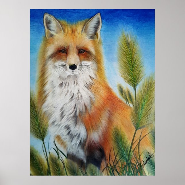 Póster de zorro (Frente)