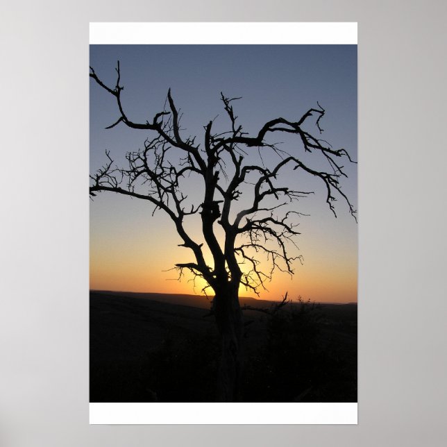 Póster Dead_Tree_Sunset_Erock (Frente)