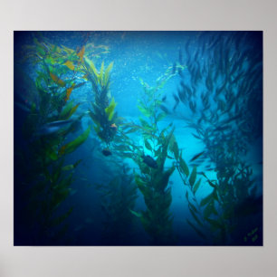 Póster Debajo del mar