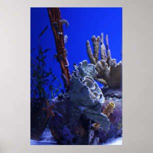 Póster Debajo del mar