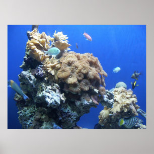 Póster Debajo del mar