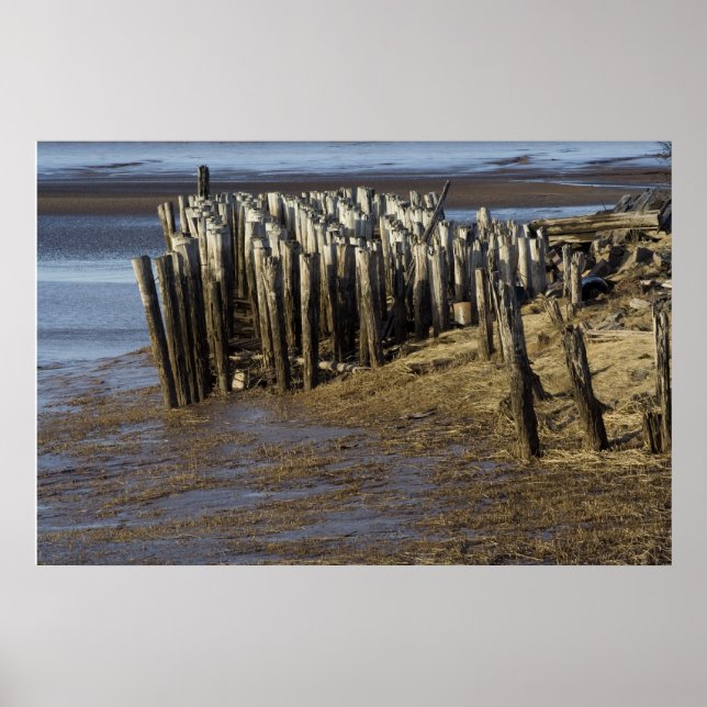 Póster Debilitado y gastado (Frente)