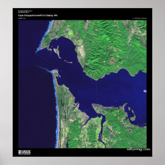 Póster Decepción en el Cabo, WA