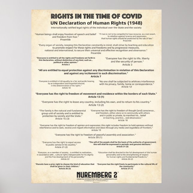 Póster Declaración De Derechos Humanos De Las Naciones Un (Frente)