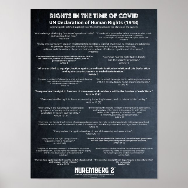 Póster Declaración De Derechos Humanos De Las Naciones Un (Frente)