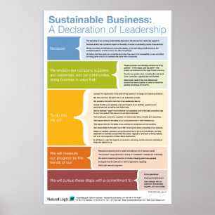 Póster Declaración de la dirección