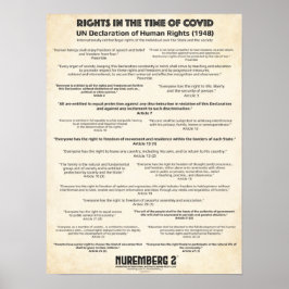 Póster Declaración De Las Naciones Unidas Sobre Los Derec