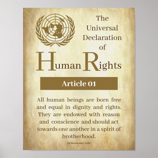 Póster Declaración Universal de Derechos Humanos Artículo (Frente)