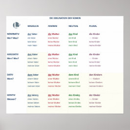 Póster Declinación - Nomen (N-A-D-G/m-f-n-pl)