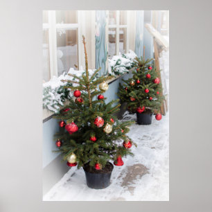 Póster Decorated Christmas trees on street.