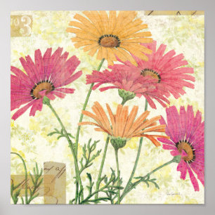 Póster Decorative Daisies
