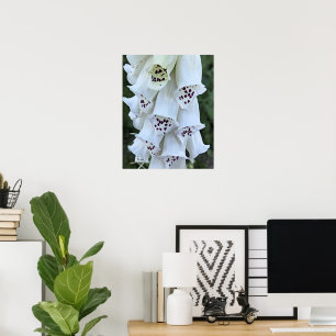 Póster Dedalera Blanca con Manchas Rosadas Floral