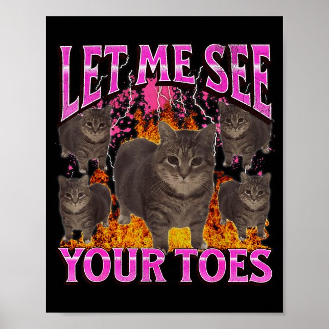 Póster Dedos De Los Pies Gato Divertido Meme Bootleg Gráf (Frente)