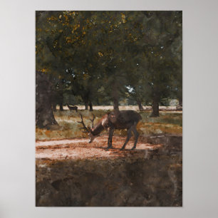 Póster Deer