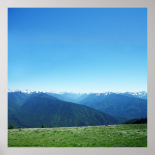 Póster Deer and the Olympics