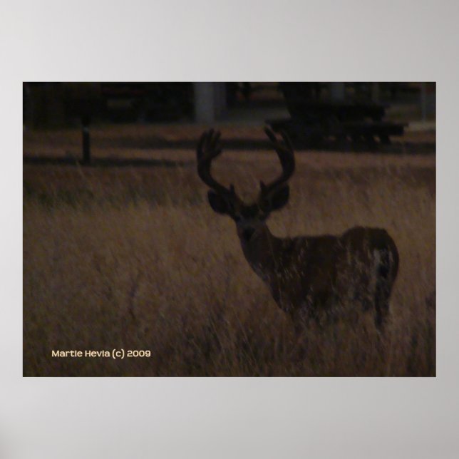 Póster Deer Antlers (Frente)