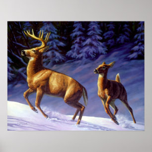 Póster Deer blanco y perro en la nieve de invierno