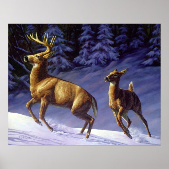 Póster Deer blanco y perro en la nieve de invierno (Frente)