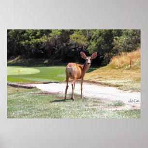 Póster deer looking at you photography reprint large