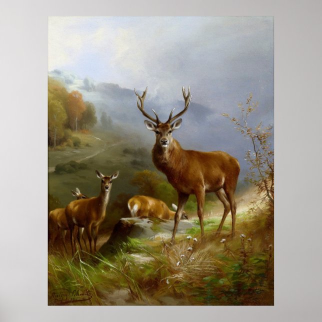 Póster Deer majestuoso ~ (Frente)